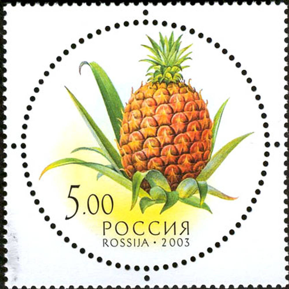 Дары природы. Ананас