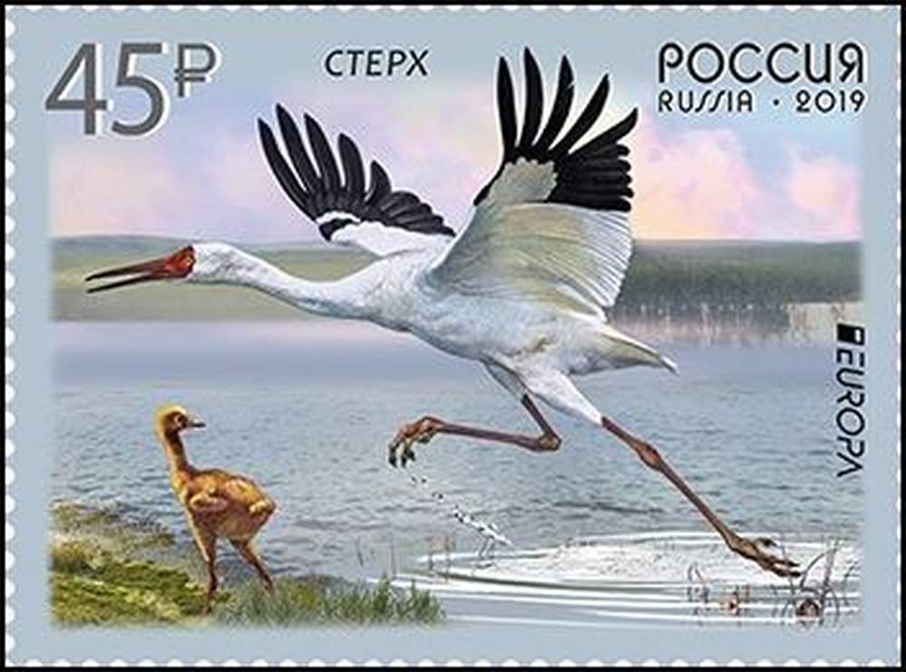 Стерх
