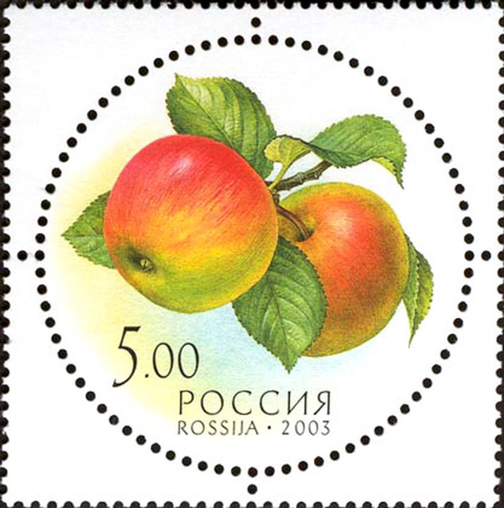 Дары природы. Яблоко