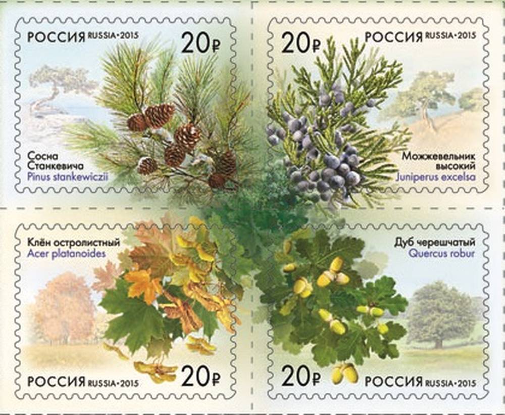 Аллеи России
