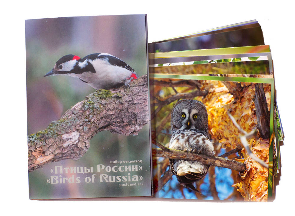 Птицы России