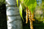 Природа