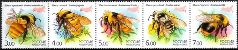 Шмели
