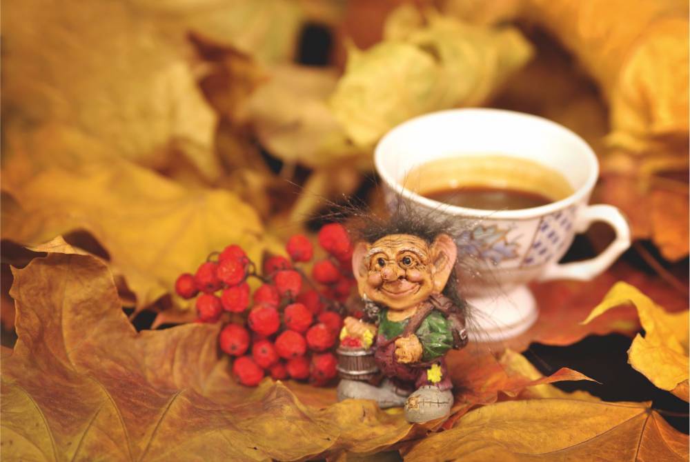 Кофейный тролль
