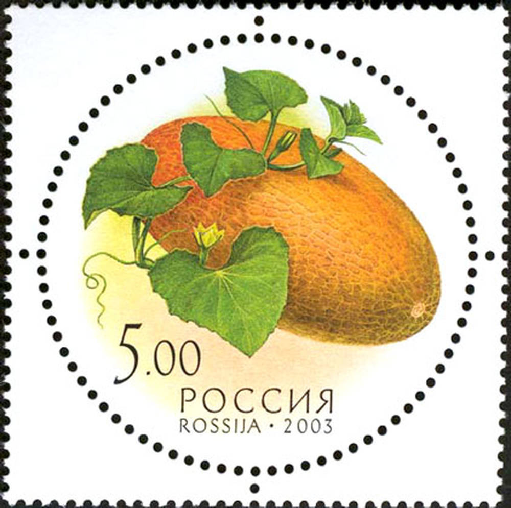 Дары природы. Дыня