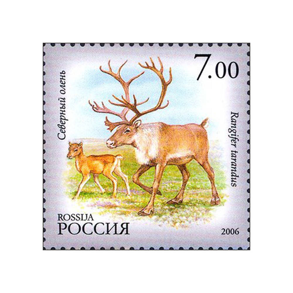 Северный олень