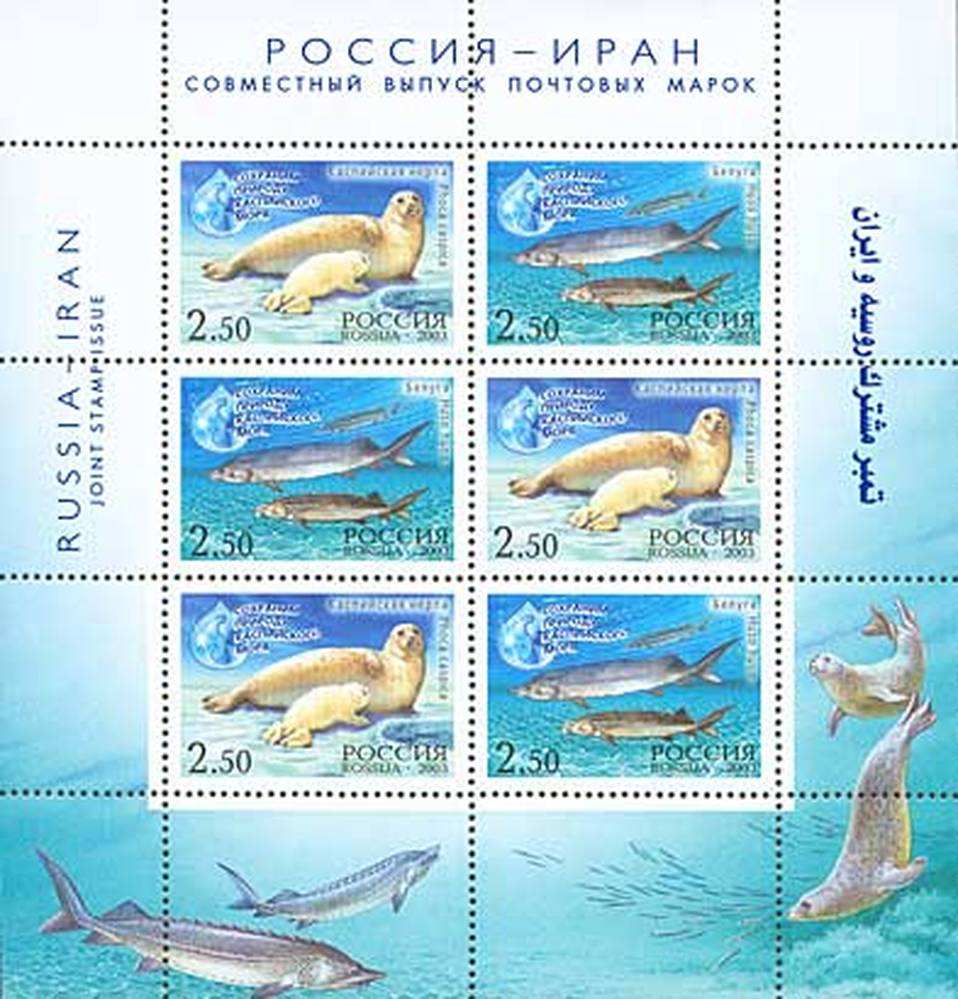 Сохраним природу Каспийского моря